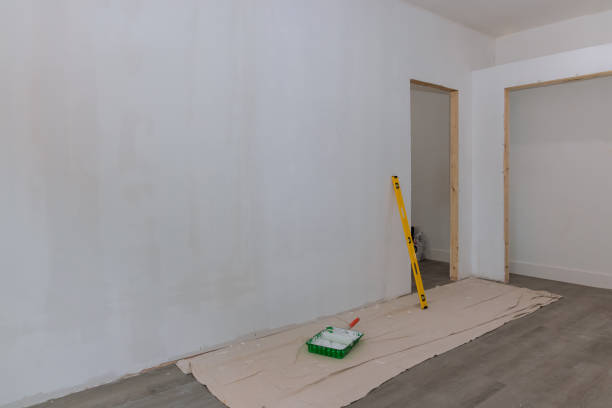 Professional Mold Removal in Shelburne Falls, MA
