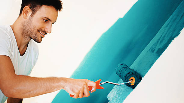 Best Mold Odor Removal Services  in Shelburne Falls, MA